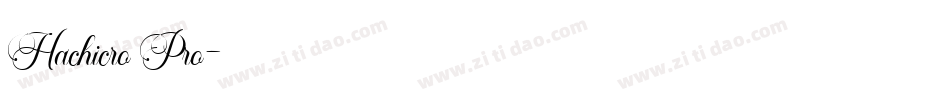 Hachicro Pro字体转换